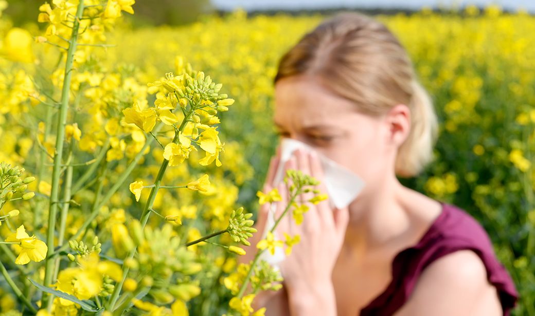 Hayfever